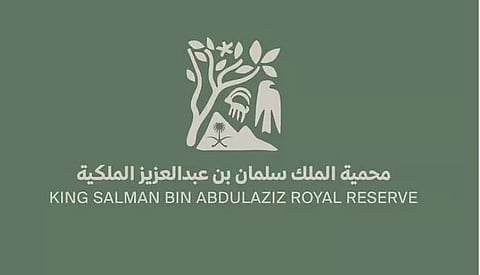محمية الملك سلمان بن عبدالعزيز الملكية تُركّب عوازل على خطوط الكهرباء لحماية الطيور المقيمة والمهاجرة