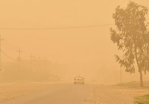 «الأرصاد»: حماية المراعي خط الدفاع الأول ضد التصحر