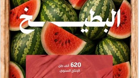 بإنتاج تجاوز 620 ألف طن.. البطيخ يشهد ذروة الإقبال في موسم الصيف