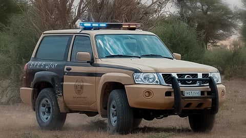 «الأمن البيئي» يحبط بيع 1056 طائر دخّل في الرياض