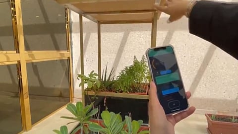 بالفيديو.. شباب سعوديون يبتكرون نظامًا للري يتم التحكم فيه عبر الهاتف