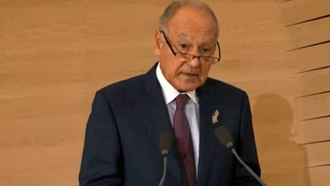 أبوالغيط: مبادرة المملكة تخلق رئة تنفس طبيعية في منطقة عانت الجفاف