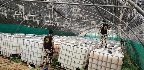 بالصور.. ضبط أكثر من ١٠٢ ألف لتر خمور بالشرقية