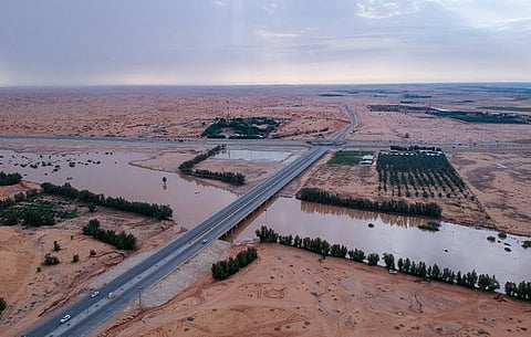 بالصور.. أمطار القصيم ترسم بهجة الحياة على ثغر وادي الرمة