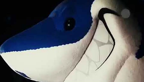 بالفيديو.. سمكة القرش الزرقاء بانتظار جماهير الهلال في محيط الرعب
