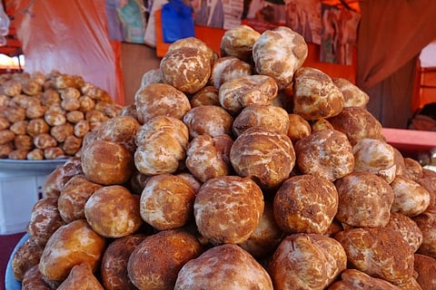 بالفيديو.. خبيرة تغذية: معلومات طبية خاطئة حول فوائد "الفقع"