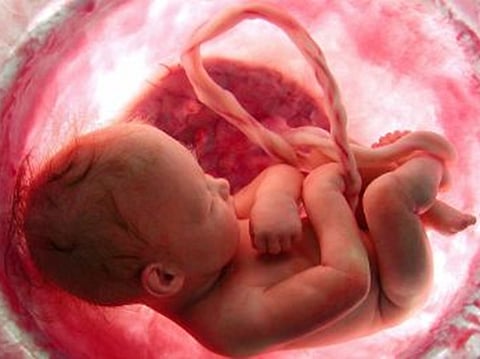 طبيبة نساء توضح متى يسمع الجنين صوت أمه ويتجاوب معه