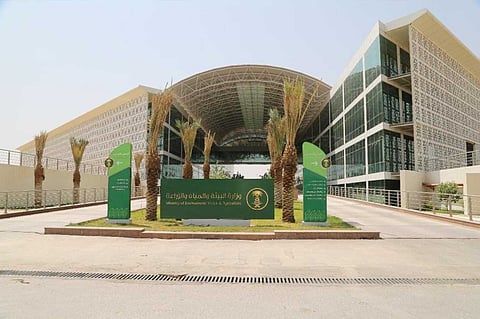 إطلاق خدمة استقبال طلبات تمويل المنشآت البيطرية إلكترونيًا