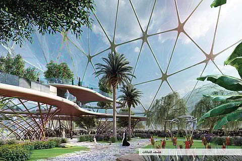 «الرياض الخضراء».. السعودية ترفع نصيب الفرد من المساحات الخضراء لمستوى عالمي