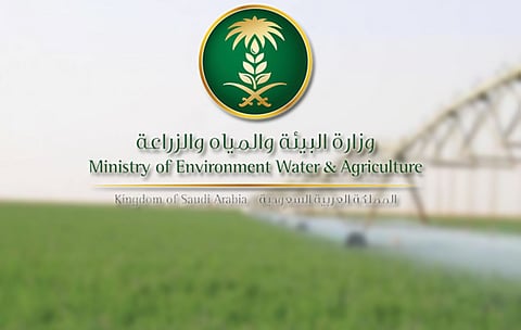 «البيئة» تُعلن بدء التسجيل في البرنامج التدريبي المتكامل لتربية النحل