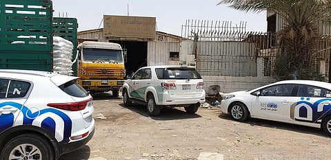 ضبط 36 طنًا من «التوابل الفاسدة» في جدة.. بينها «زعفران»