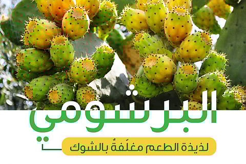 البرشومي.. 9 معلومات عن شجرة لذيذة الطعم ومغلفة بالشوك