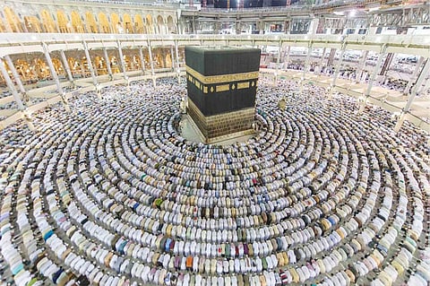 البيئة: فسح 539 ألف رأس من الماشية منذ مطلع ذي القعدة‬