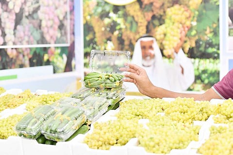 بالصور.. مهرجان الورد والفاكهة بتبوك يحقق أعلى مبيعات في نسخته السابعة