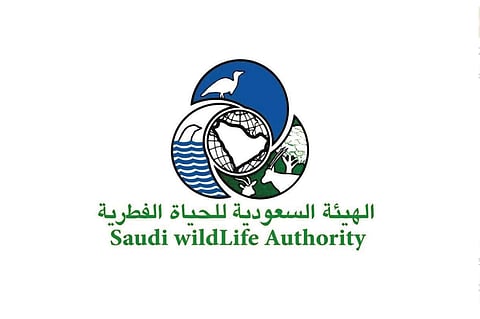 بالأسماء.. «الحياة الفطرية» تدعو المتقدمين لوظائفها لاستكمال الإجراءات