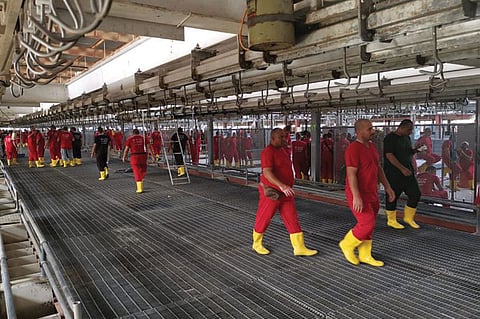 مشروع المملكة للهدي والأضاحي يعلن جاهزيته لموسم الحج