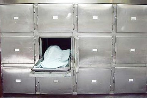 العثور على 5 جثث بالطريق الصحراوي جنوب العريش المصرية