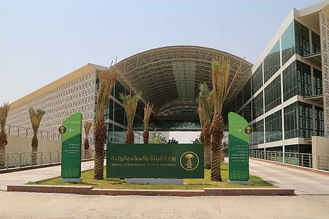 بتكلفة 9 ملايين ريال.. اعتماد مشروع متنزه «حلي الوطني» بالقنفذة