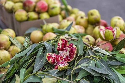 اعتماد «تطبيق الباحة» منصة بيع إلكتروني لمهرجان الرمان الوطني