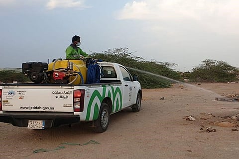 بالصور.. أمانة جدة تُزيل حظائر إبل مخالفة وتضبط 6 عمال سودانيين