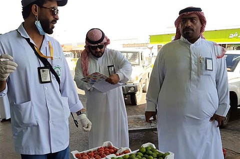 ضبط ومصادرة موادّ تالفة ومجهولة المصدر بأسواق الخضار والفاكهة والمواشي بالجوف