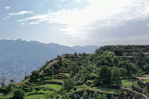 بالصور.. الأمطار تحوّل الداير إلى واحة فاتنة