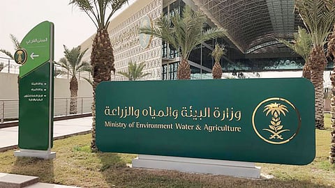 مزايا للمقبولين.. «البيئة» تدعو الشباب للتسجيل في برنامج «صياد»