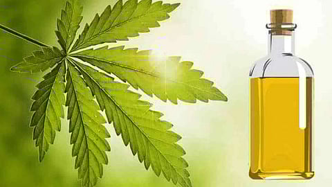 فوائد سحرية لزيت النيم