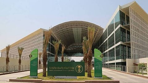 «البيئة» تُعلن عن 75 وظيفة هندسية وبيطرية شاغرة
