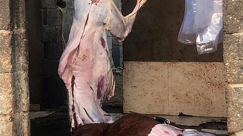 بالصور.. ضبط حوش لسلخ «الذبائح النافقة» وتوزيعها على محلات بمكة