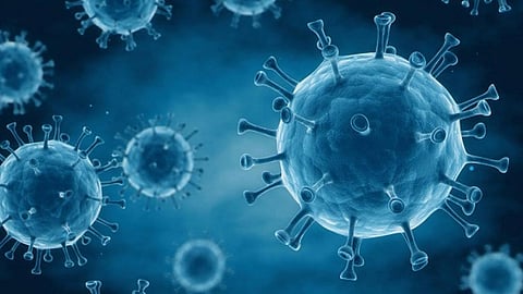 «مركز الطب البديل» يُطالب بعدم الانسياق خلف مدَّعي علاج «كورونا» بالوسائل الشعبية
