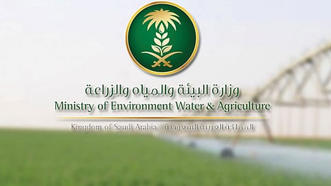 إنفوجراف.. مخزون وإنتاج المملكة من السلع الاستراتيجية.. في ظل أزمة كورونا