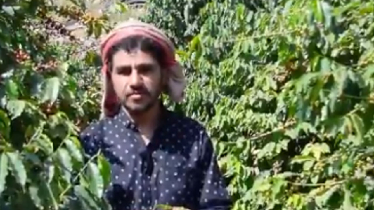 بالفيديو.. مُزارع بجازان يحقق أرباحًا مضاعفة.. قام بغرس 1600 شجرة «بن» بدلًا من «القات»