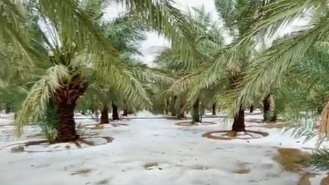 بالفيديو.. الثلوج تكسو القصيم بعد هطول سحابة مصحوبة بزخات من البرد