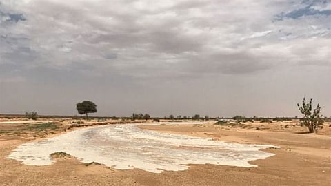 تنبيه من الأرصاد: رياح نشطة وأتربة مثارة على الرياض