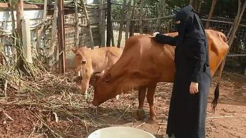 قصة ملهمة.. فتاة من جازان تحارب البطالة بتأسيس مشروع زراعي