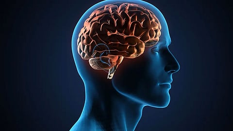 التوتر الناتج عن فيروس كورونا يؤثر على أنسجة الدماغ