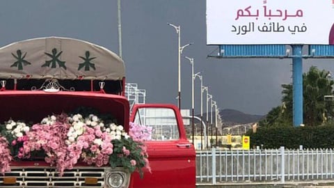 أجواء الطائف تجذب مليوني سائح إلى «عروس المصايف»