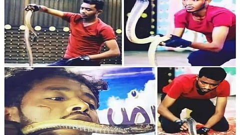 على الهواء مباشرة.. كوبرا تنهي حياة مدربها في عسير
