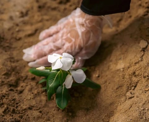 100 Volunteers Participate in Preparing Muzdalifah Site for This Year's Hajj
