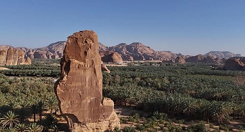 AlUla's Dual Allure: Ancient Rock Formations and Thriving Palm Groves