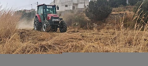 Environment Ministry Revitalizes 393 Al-Baha Farms to Boost Agricultural Output

