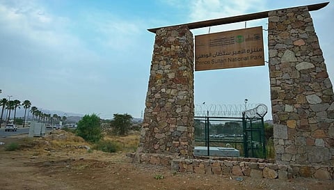 Prince Sultan National Park in Abha Blends Nature and Entertainment