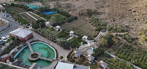 Taif's Countryside: A Thriving Hub for Tourism and Entertainment