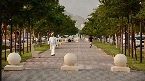 Najran's Walking Tracks See High Turnout