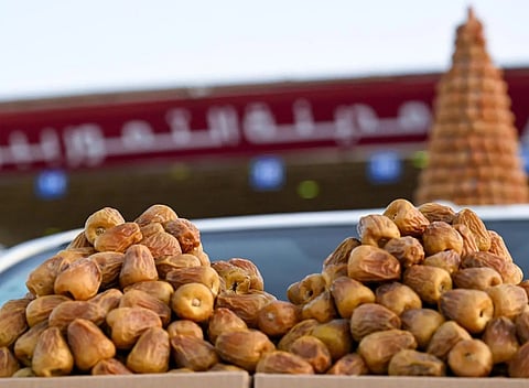 Buraidah Dates Carnival Launches ‘Dates Diplomacy’ Initiative
