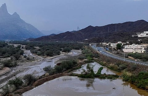 Gentle Rainfall Refreshes Landscapes of Al-Baha