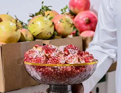 Al-Baha Pomegranate Festival Attracts Visitors with Heritage and Agriculture Activities