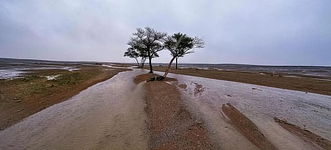 Pre-Winter Season Brings Vital Rainfall to Saudi Arabia
