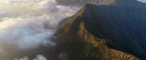 Jazan Festival 2026 Highlights Cultural Diversity and Modern Entertainment